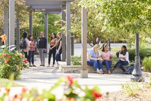 Diverse students in courtyard